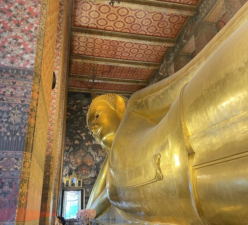 現在の画像に代替テキストがありません。ファイル名: IMG_6431-scaled.jpg
